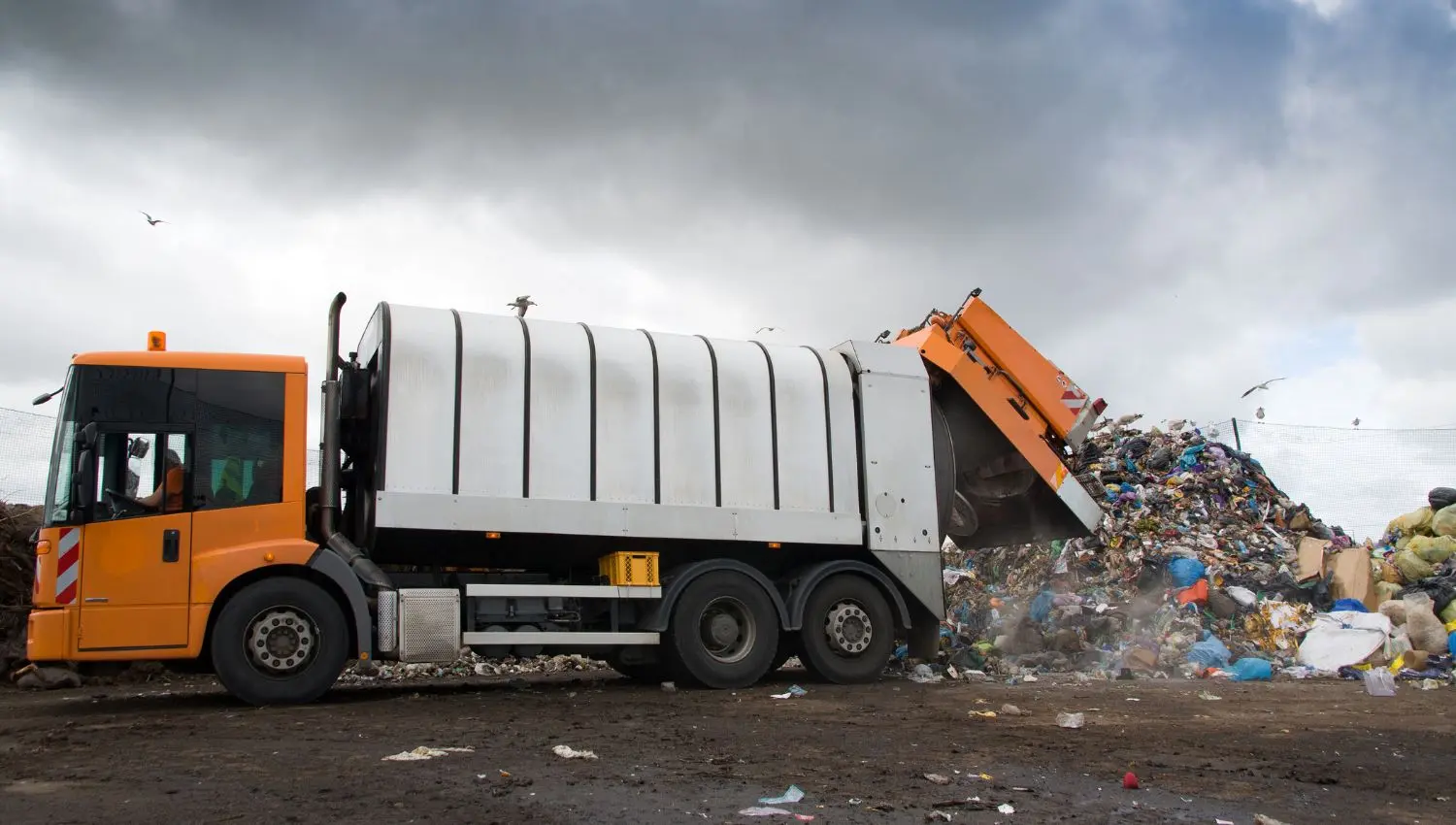 gilbert dumpster rental